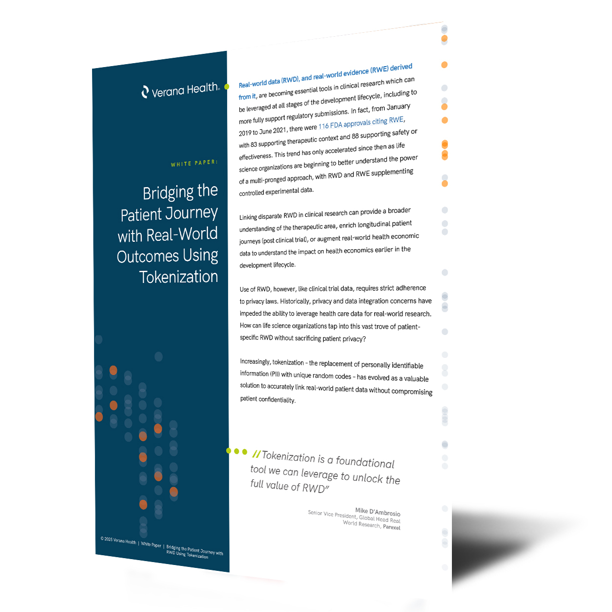 VH_WHITEPAPER_BridgingPatientJourney_THUMB